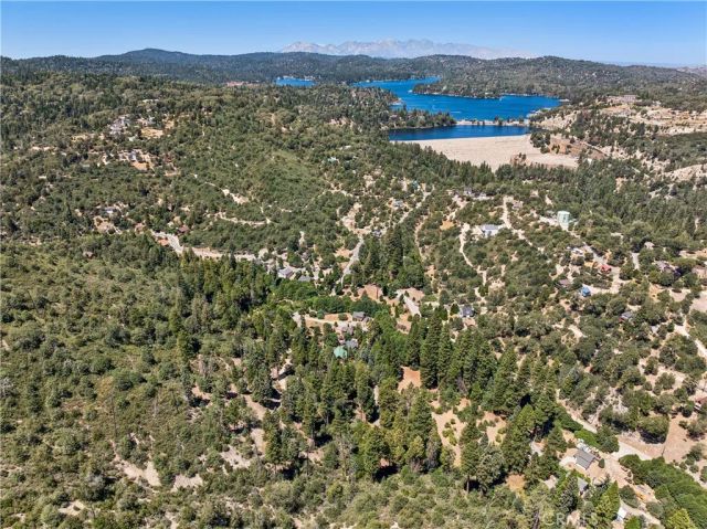 29729 Katharine Way, Cedar Glen, CA 92321