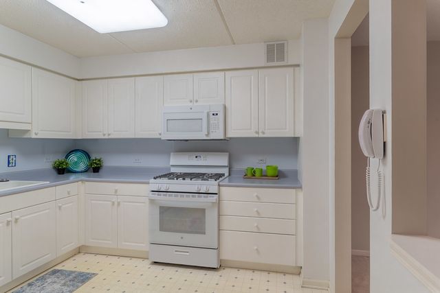 6801 N Milwaukee Avenue 202, Niles, IL 60714