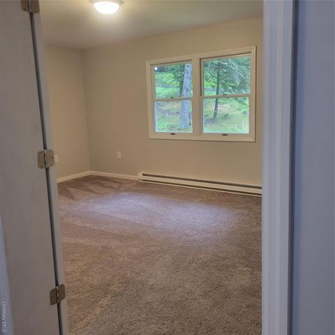 21 Browns Road, Livingston Manor, NY 12758