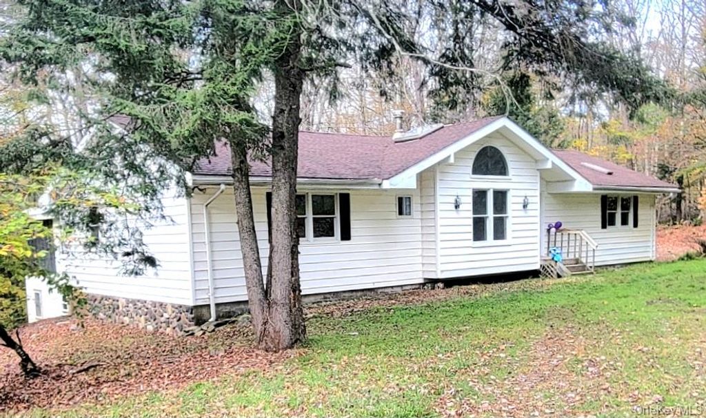 21 Browns Road, Livingston Manor, NY 12758