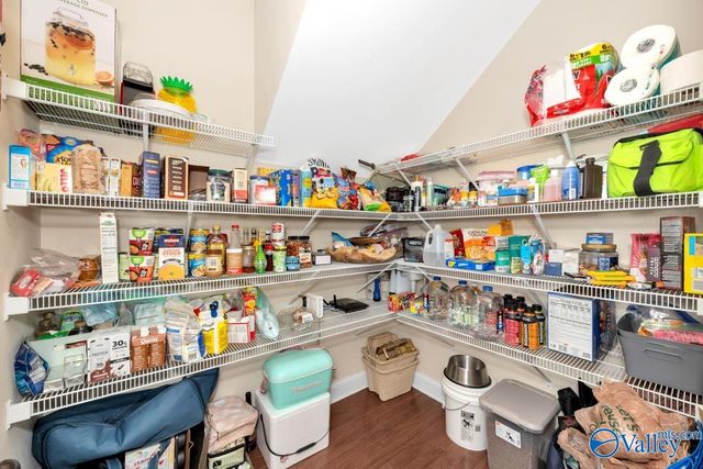204 Coral Court, Madison, AL 35756