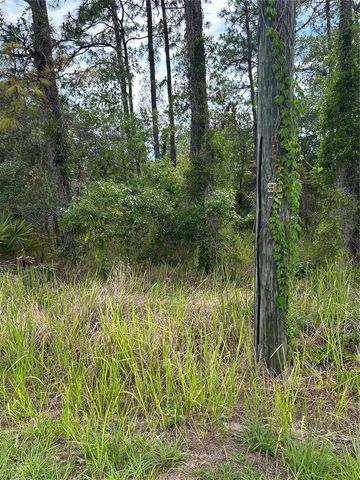 8131 NIGHTINGALE ROAD, Weeki Wachee, FL 34613