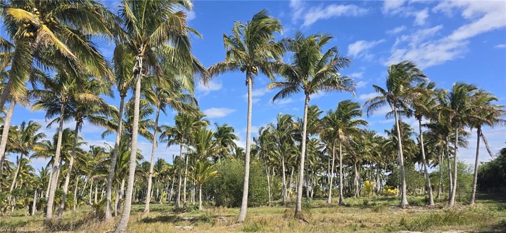 0 Lada LN, BOKEELIA, FL 33922 — photo 4
