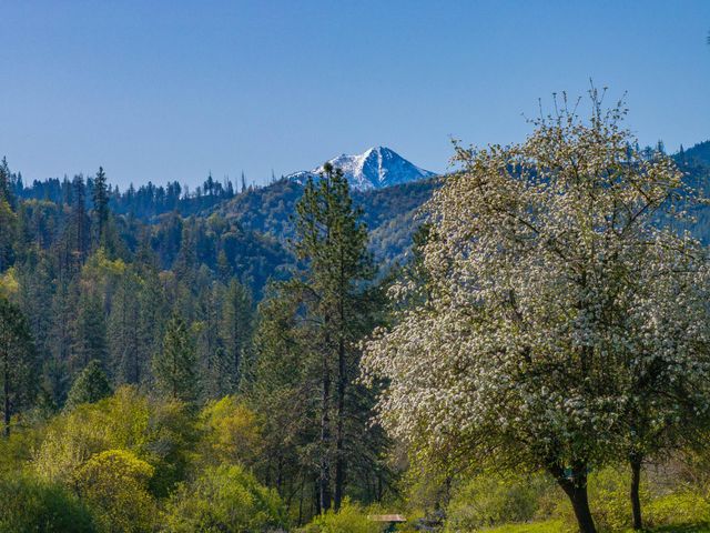 6790 Rush Creek Road, Lewiston, CA 96052