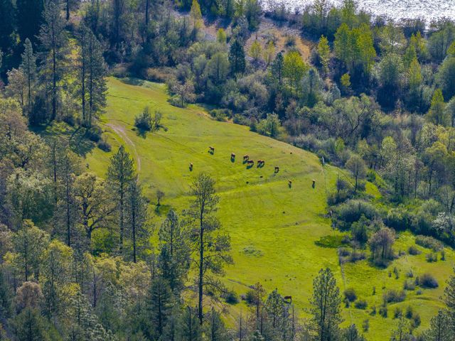 6790 Rush Creek Road, Lewiston, CA 96052