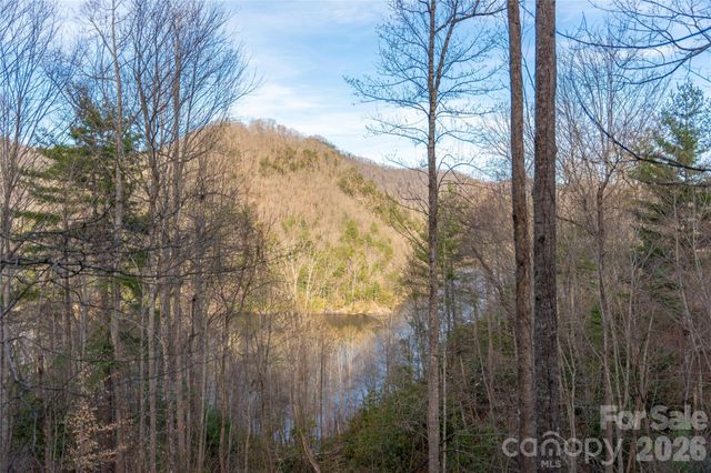 100 Saddle Notch Lane A1, Tuckasegee, NC 28783