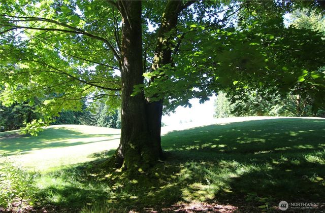 8855 Wood Duck Way, Blaine, WA 98230