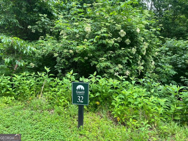 32R Roaring Forks Lane, East Ellijay, GA 30540