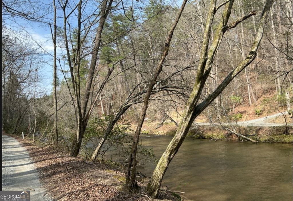 32R Roaring Forks Lane, East Ellijay, GA 30540