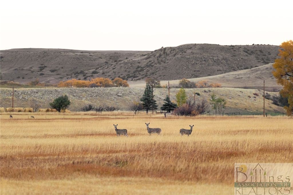 287 Spring Creek Road, Absarokee, MT 59001 photo 12