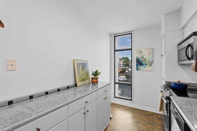 1101 N Elm Street 204, Greensboro, NC 27401