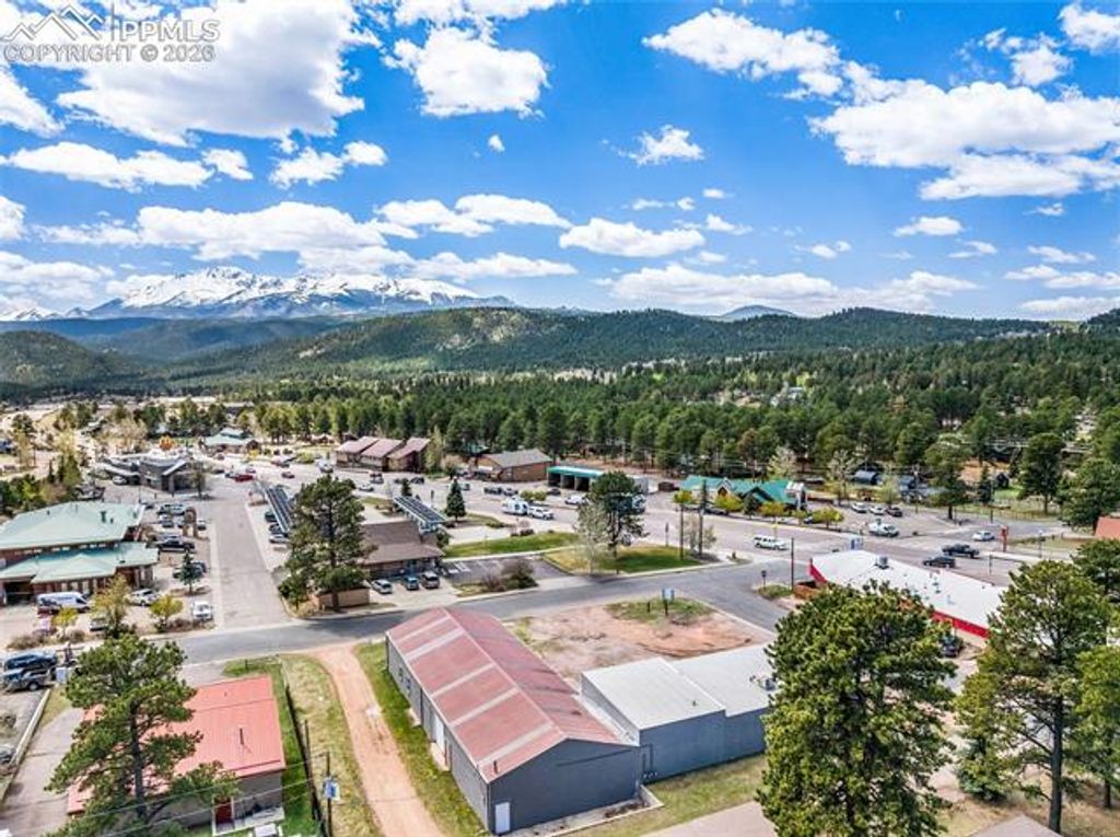 530 Chester Avenue, Woodland Park, CO 80863 — photo 4