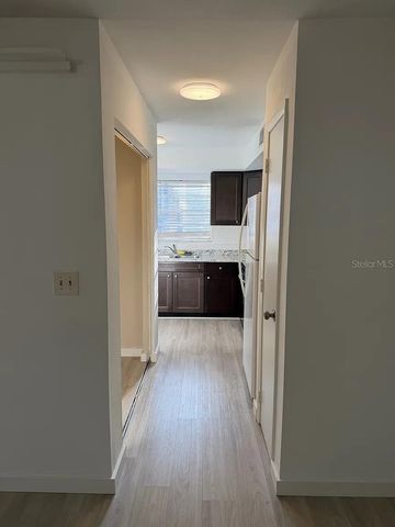 13905 VILLAGE TERRACE DRIVE, Tampa, FL 33624