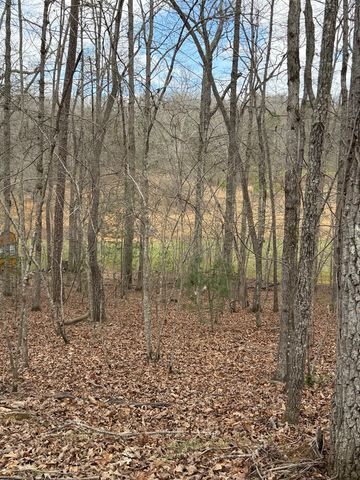 2-5 Country Lane, Murphy, NC 28906