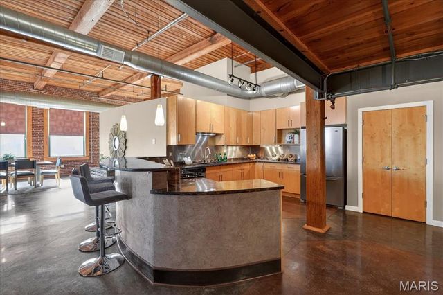 703 N 13th Street 505, St Louis, MO 63103