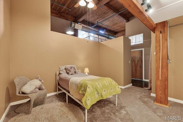 703 N 13th Street 505, St Louis, MO 63103