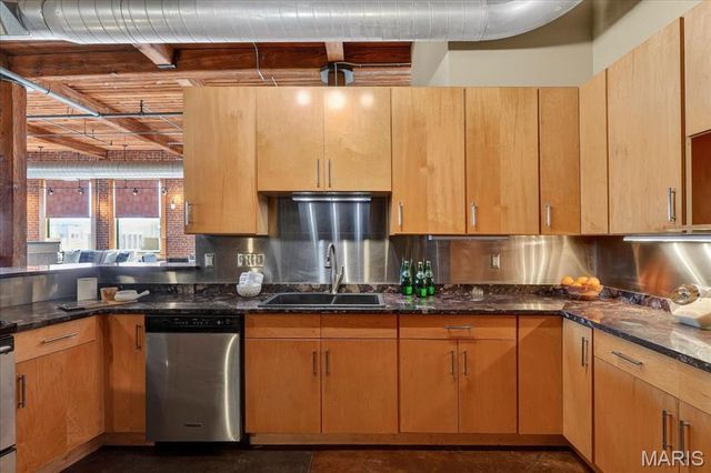 703 N 13th Street 505, St Louis, MO 63103