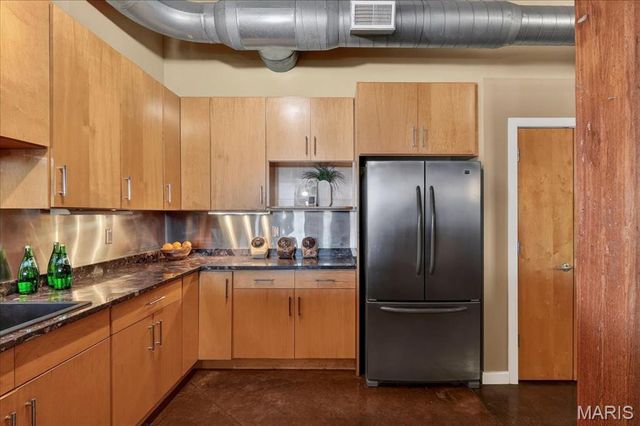 703 N 13th Street 505, St Louis, MO 63103