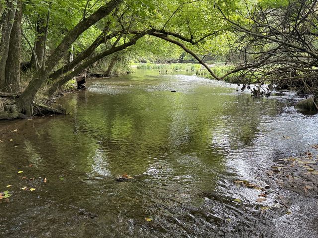 1276 Trice Rd, Lebanon, TN 37087