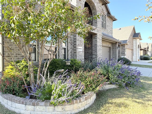 3309 Peacock Lane, Celina, TX 75009