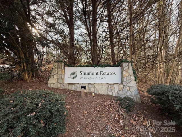 397 Shumont Estate, Lake Lure, NC 28746
