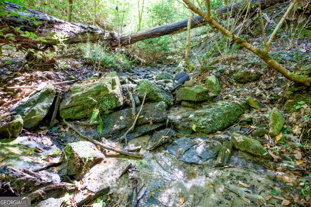 57 AC Soapstone Road, Baldwin, GA 30511 — exterior