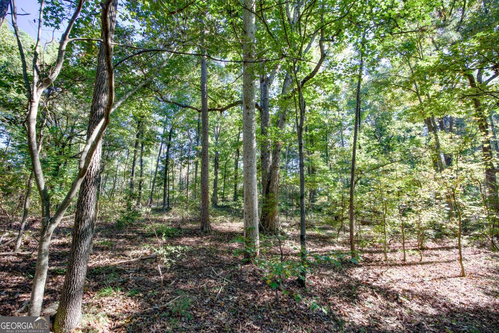 57 AC Soapstone Road, Baldwin, GA 30511 — photo 2