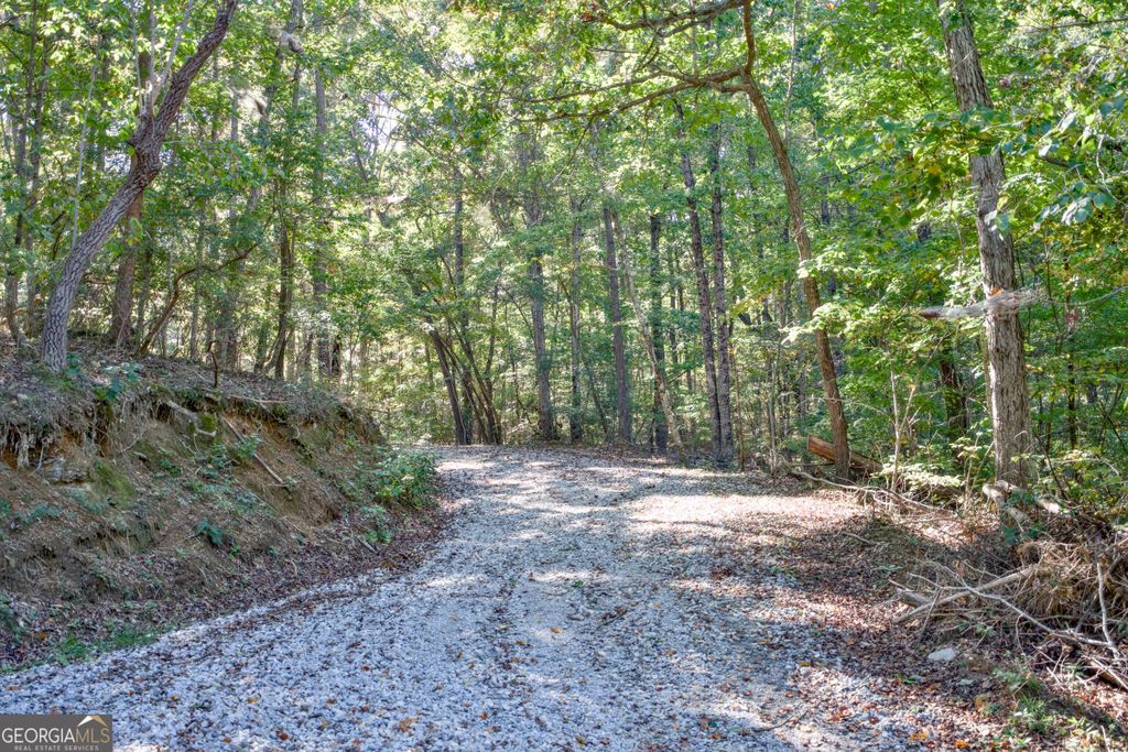 57 AC Soapstone Road, Baldwin, GA 30511 — photo 3