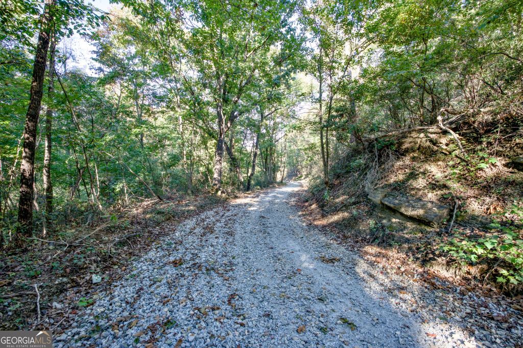 57 AC Soapstone Road, Baldwin, GA 30511 — photo 4