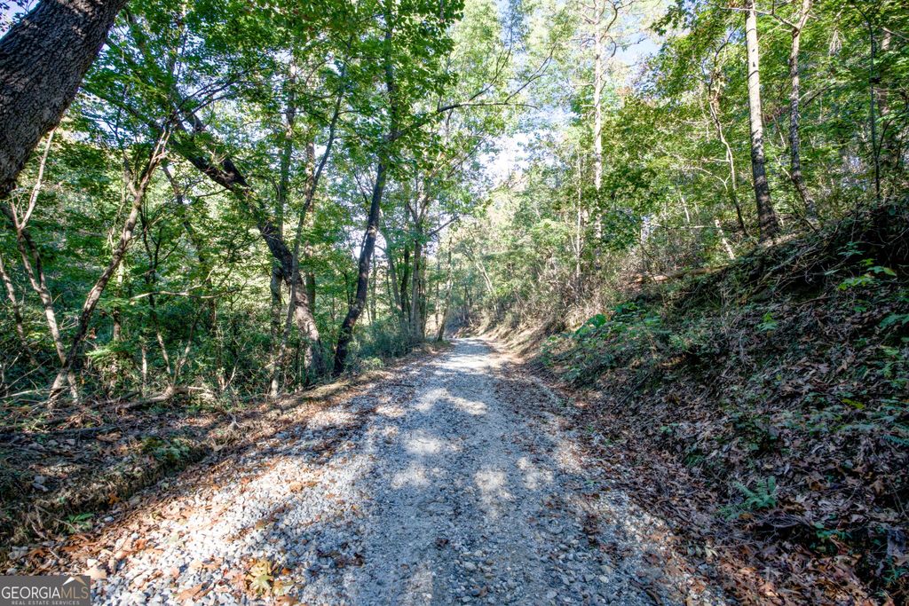 57 AC Soapstone Road, Baldwin, GA 30511 — photo 5