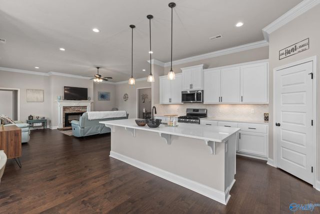 204 Nellie Faye Lane, Meridianville, AL 35759