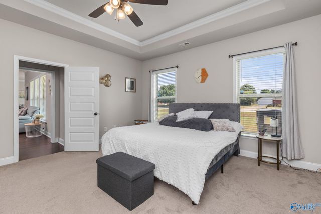 204 Nellie Faye Lane, Meridianville, AL 35759