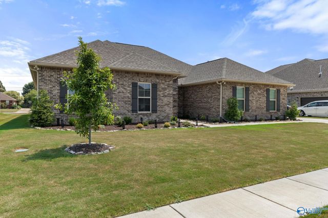 204 Nellie Faye Lane, Meridianville, AL 35759