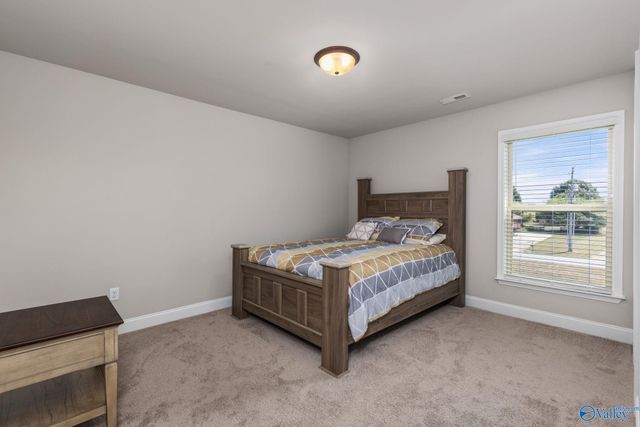 204 Nellie Faye Lane, Meridianville, AL 35759