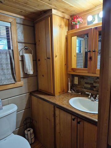 40 Wilderness Court, Blairsville, GA 30512
