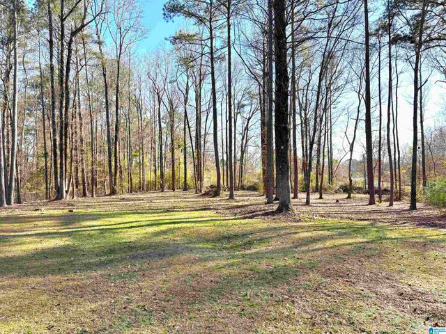 1266 MCCONNELL LANE, Mount Olive, AL 35116