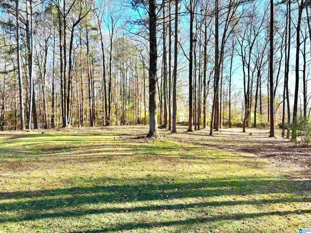 1266 MCCONNELL LANE, Mount Olive, AL 35116