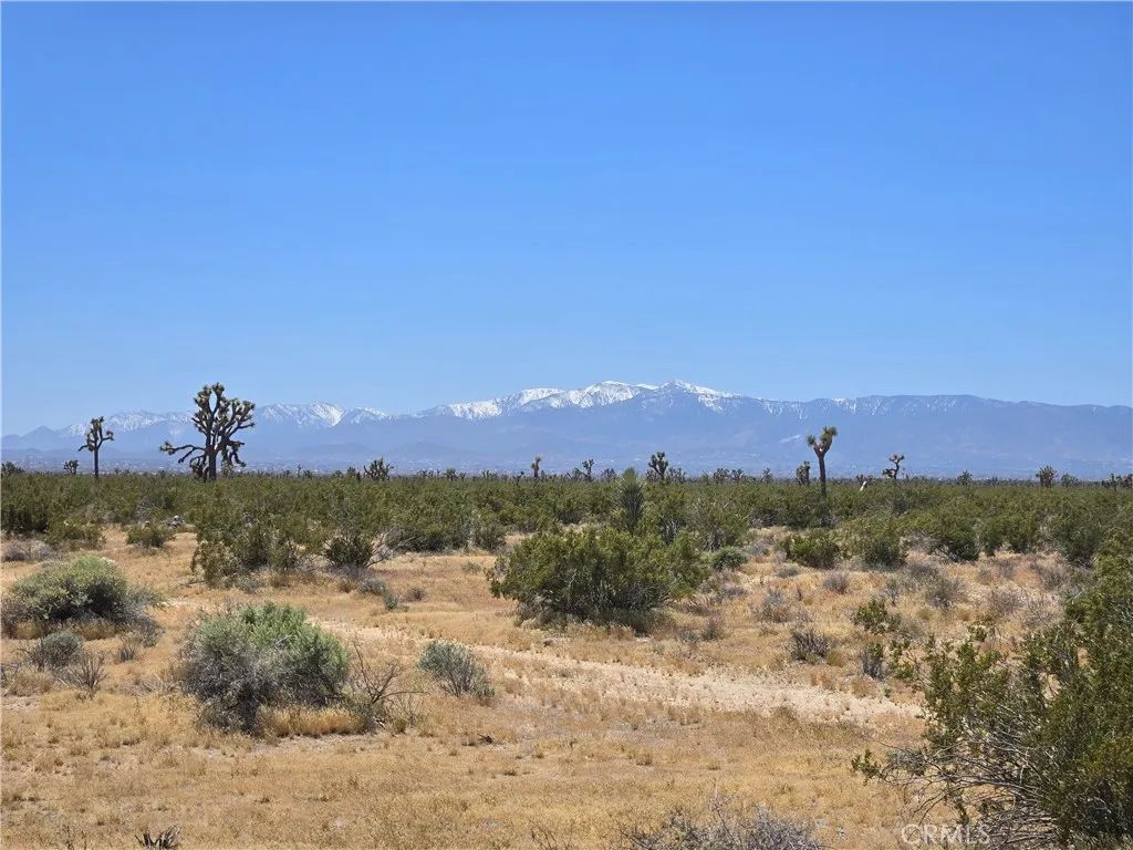 10 Beaver, Adelanto, CA 92301