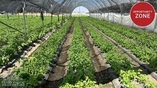 78100 Harrison St, Thermal, CA 92274