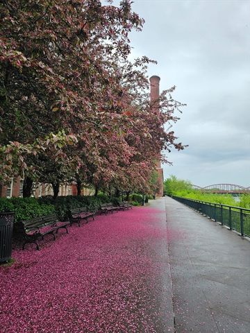 52 Lawrence Dr M408, Lowell, MA 01854