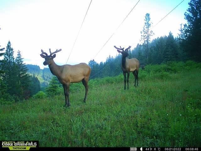479 Lochsa Ln, Kingston, ID 83839