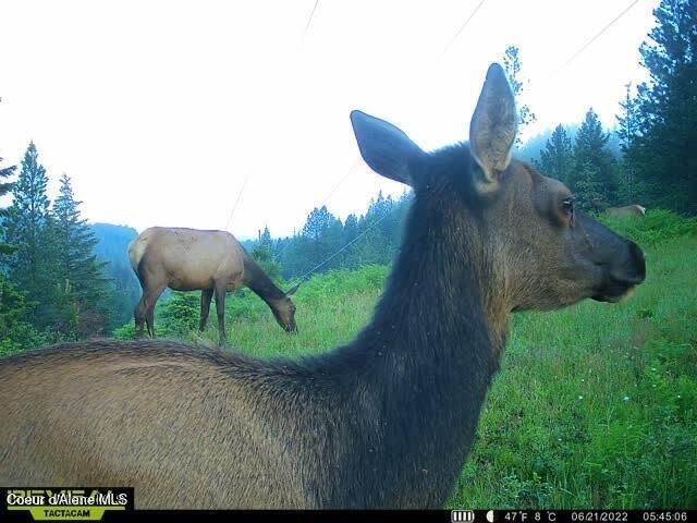 479 Lochsa Ln, Kingston, ID 83839