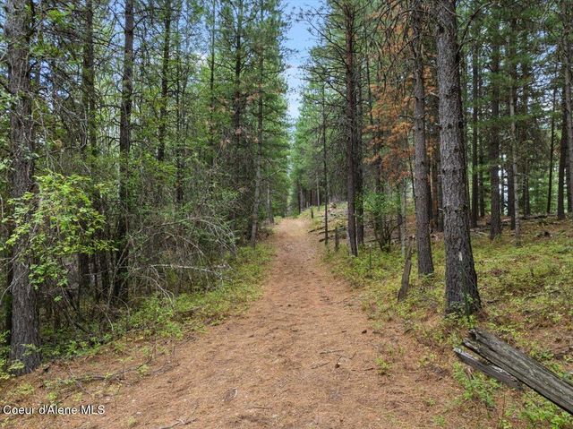 479 Lochsa Ln, Kingston, ID 83839