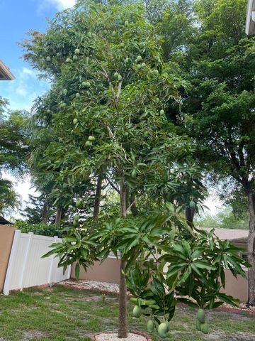 11487 Blue Violet Lane, Royal Palm Beach, FL 33411