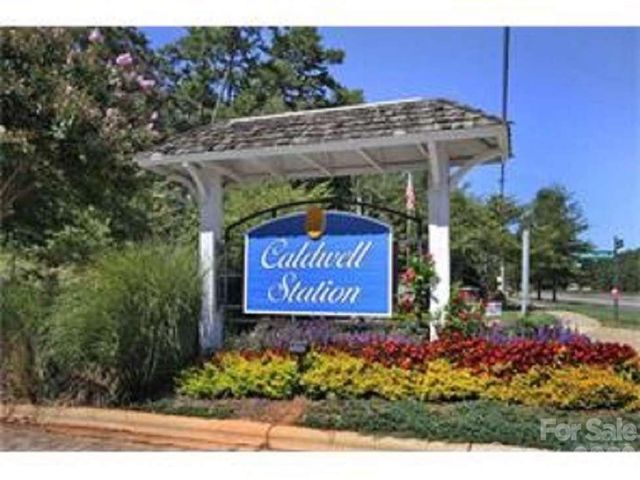 10541 Trolley Run Drive, Cornelius, NC 28031