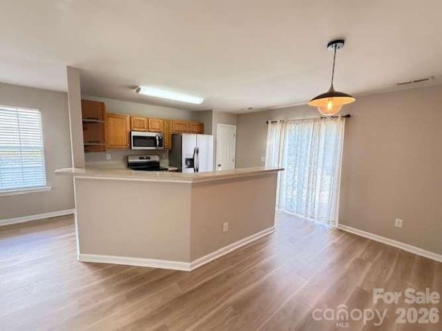 10541 Trolley Run Drive, Cornelius, NC 28031
