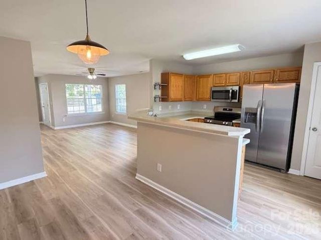 10541 Trolley Run Drive, Cornelius, NC 28031