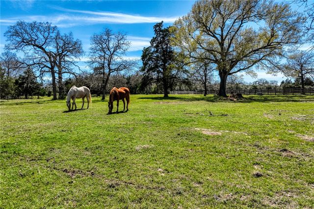 17677 Tranquil Ln, Other, TX 78933