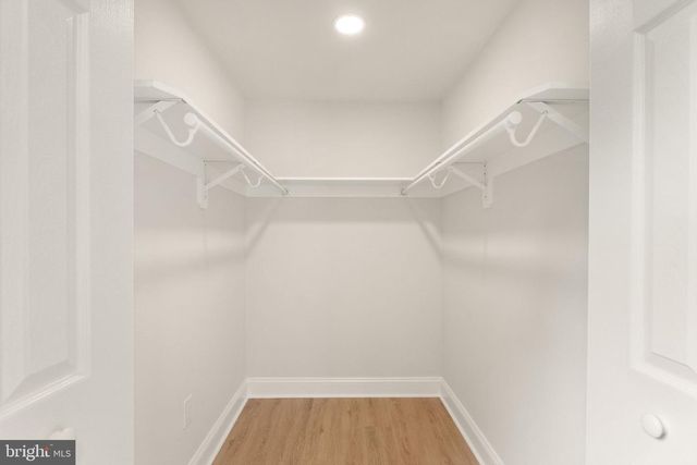 15310 BLUERIDGE VIEW DR, Centreville, VA 20120