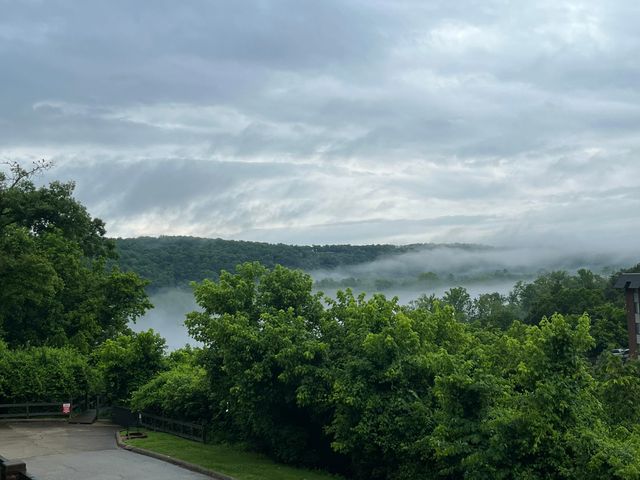 150 Sunken Forest Drive 10-245, Forsyth, MO 65653